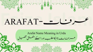 Arafat Name Meaning in Urdu