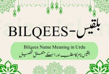 Bilqees Name Meaning in Urdu