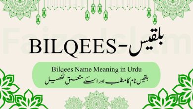 Bilqees Name Meaning in Urdu