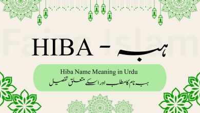 Hiba name meaning in urdu