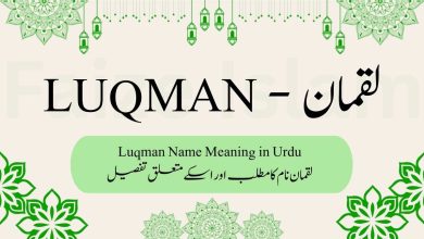 Luqman name meaning in urdu
