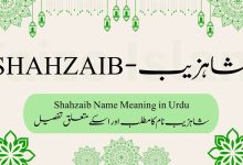 Shahzaib Name Meaning in Urdu