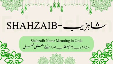 Shahzaib Name Meaning in Urdu