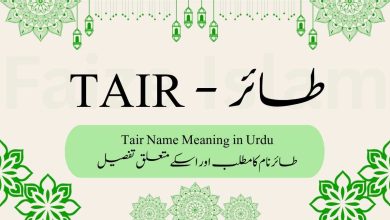 Tair name meaning in urdu