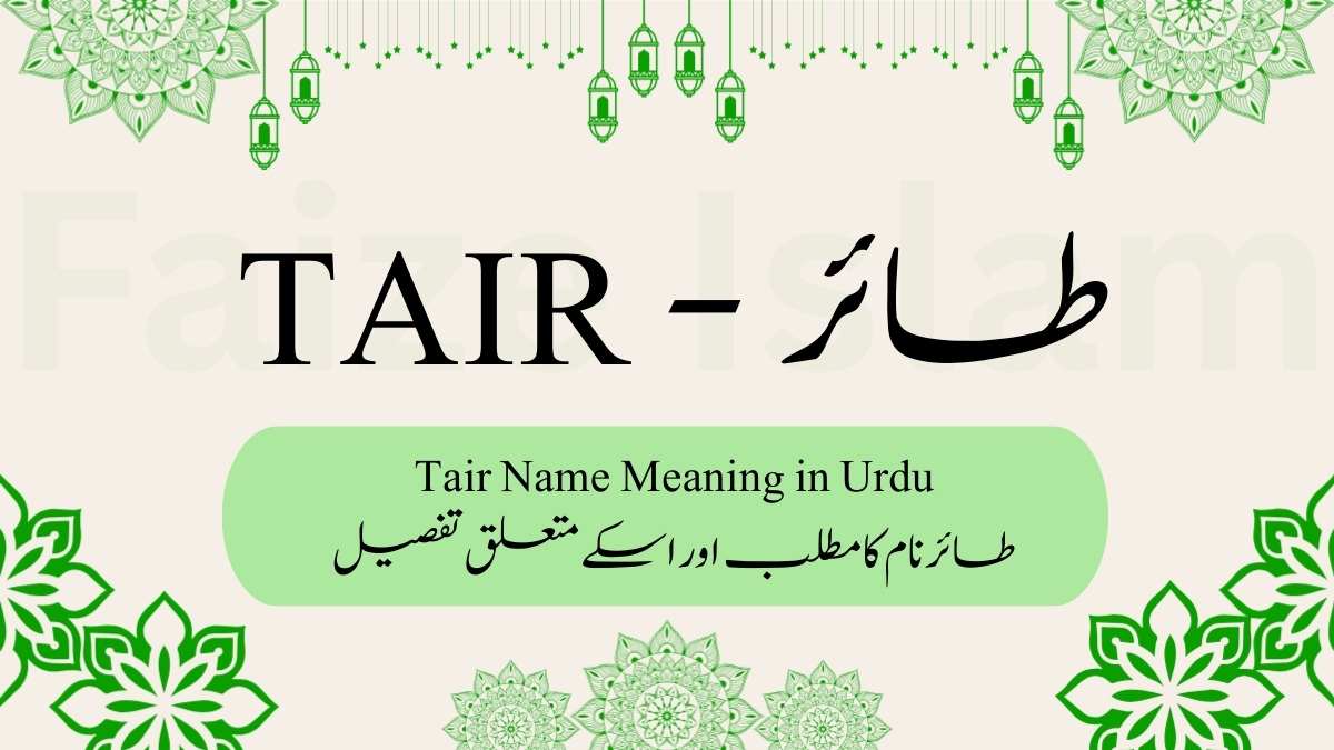 طائر نام کا مطلب اردو | Tair Name Meaning in Urdu