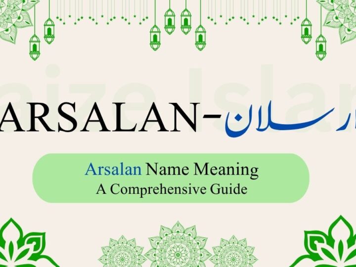 Arsalan Name Meaning | ارسلان — The Lion