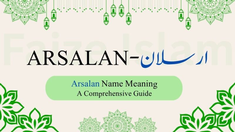 Arsalan Name Meaning | ارسلان — The Lion